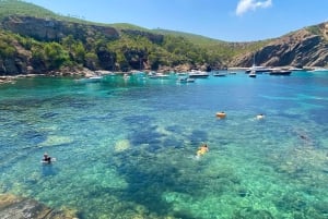 イビサ島サファリ（プライベート）– 隠れたビーチ、洞窟、シュノーケリング