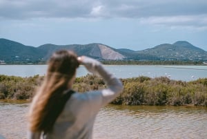 Ibiza: Salt Beds, Es Vedra & Time and Space Half-Day Tour