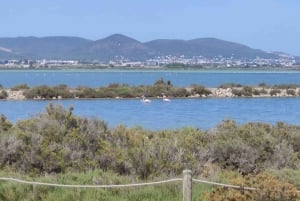 Ibiza: Salt Beds, Es Vedra & Time and Space Half-Day Tour