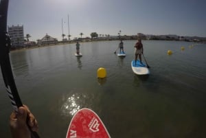 Ibiza: Verhuur paddleboards San Antoni Bay