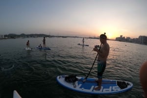 Ibiza: Wypożyczalnia paddleboardów w San Antoni Bay