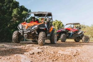 Ibiza: Santa Eulalia Buggy Sightseeing Tour