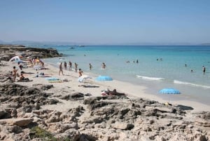 Ibiza: Santa Eulalia Traslado de ida y vuelta a Formentera