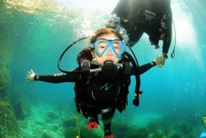 Ibiza: duiken voor beginners en snorkelen