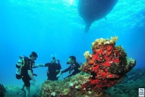 Ibiza: nurkowanie z akwalungiem dla nowicjuszy i snorkeling