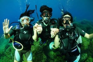 Ibiza : plongée sous-marine et snorkeling pour débutants et débutantes