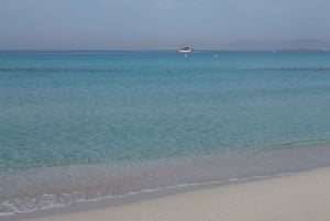 IBIZA day trip to Formentera by bicycle