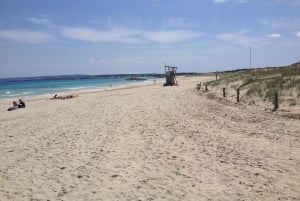 IBIZA day trip to Formentera by bicycle