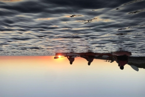Ibiza: Havskajakpaddling i solnedgången och tur till havsgrottorna