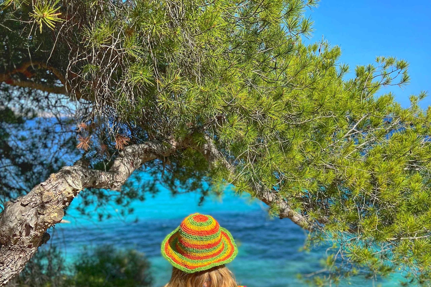 Ibiza: Hemmelige steder på øen 4X4-tur i Land Rover Defender