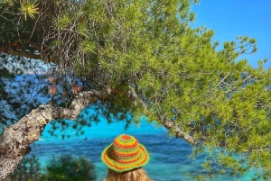 Ibiza: Hemmelige steder på øen 4X4-tur i Land Rover Defender