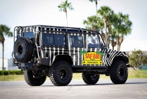 イビサ島の乗合いサファリツアー：隠れたビーチ、洞窟、シュノーケリングをお楽しみください