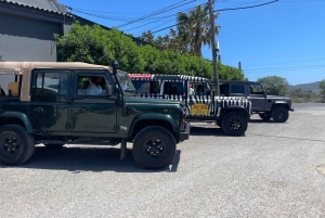 イビサ島の乗合いサファリツアー：隠れたビーチ、洞窟、シュノーケリングをお楽しみください