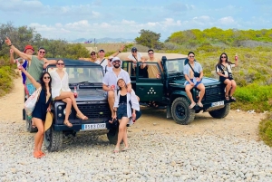 イビサ島の乗合いサファリツアー：隠れたビーチ、洞窟、シュノーケリングをお楽しみください