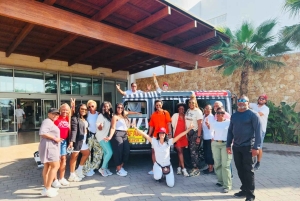 イビサ島の乗合いサファリツアー：隠れたビーチ、洞窟、シュノーケリングをお楽しみください