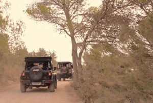 イビサ島の乗合いサファリツアー：隠れたビーチ、洞窟、シュノーケリングをお楽しみください