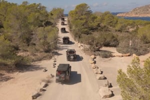 イビサ島の乗合いサファリツアー：隠れたビーチ、洞窟、シュノーケリングをお楽しみください