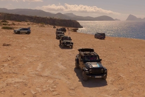 イビサ島の乗合いサファリツアー：隠れたビーチ、洞窟、シュノーケリングをお楽しみください