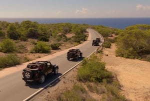 イビサ島の乗合いサファリツアー：隠れたビーチ、洞窟、シュノーケリングをお楽しみください