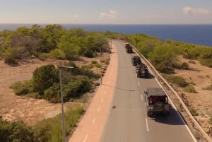 イビサ島の乗合いサファリツアー：隠れたビーチ、洞窟、シュノーケリングをお楽しみください