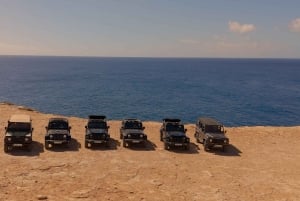 イビサ島の乗合いサファリツアー：隠れたビーチ、洞窟、シュノーケリングをお楽しみください