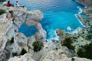 イビサ島の乗合いサファリツアー：隠れたビーチ、洞窟、シュノーケリングをお楽しみください