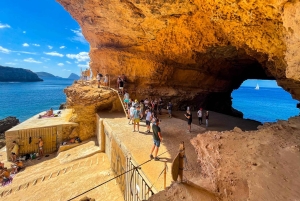 イビサ島の乗合いサファリツアー：隠れたビーチ、洞窟、シュノーケリングをお楽しみください