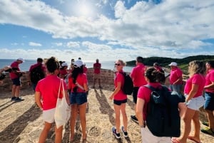 イビサ島の乗合いサファリツアー：隠れたビーチ、洞窟、シュノーケリングをお楽しみください