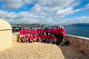 イビサ島の乗合いサファリツアー：隠れたビーチ、洞窟、シュノーケリングをお楽しみください