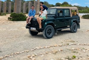 イビサ島の乗合いサファリツアー：隠れたビーチ、洞窟、シュノーケリングをお楽しみください