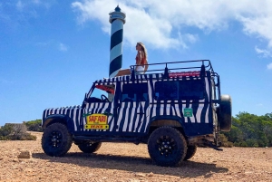 イビサ島の乗合いサファリツアー：隠れたビーチ、洞窟、シュノーケリングをお楽しみください