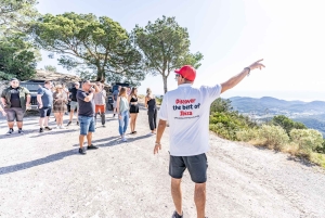 イビサ島の乗合いサファリツアー：隠れたビーチ、洞窟、シュノーケリングをお楽しみください