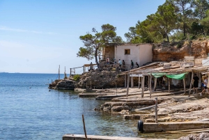 イビサ島の乗合いサファリツアー：隠れたビーチ、洞窟、シュノーケリングをお楽しみください