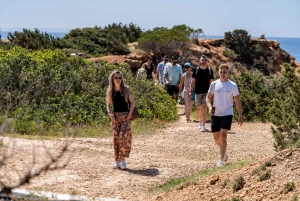 イビサ島の乗合いサファリツアー：隠れたビーチ、洞窟、シュノーケリングをお楽しみください