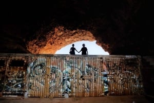 イビサ島の乗合いサファリツアー：隠れたビーチ、洞窟、シュノーケリングをお楽しみください