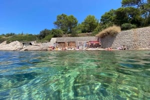 イビサ島の乗合いサファリツアー：隠れたビーチ、洞窟、シュノーケリングをお楽しみください