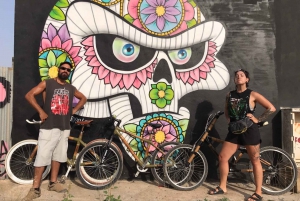 Ibiza Street Art Private Tour by Bike