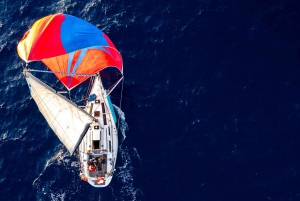 Ibiza Sunset Sailing Trip with Snorkeling and Paddleboarding