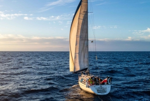 Ibiza Sunset Sailing Trip with Snorkeling and Paddleboarding