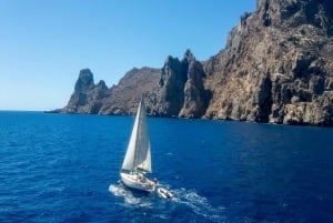 Ibiza Sunset Sailing Trip with Snorkeling and Paddleboarding