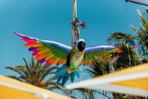 Ibiza Sunset Boat Party with 3hrs Open Bar + 3 Club Entries