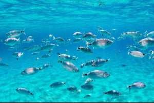 Ibiza: rondvaart rond het eiland Ibiza en zwemmen bij Formentera