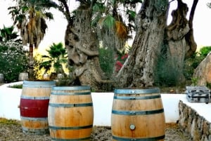 Ibiza traditionelle Weinverkostung & Kultur-Tour