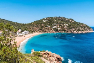 Ibiza: Escursione a terra definitiva con prelievo dal porto