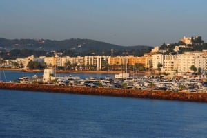 Ibiza: Escursione a terra definitiva con prelievo dal porto