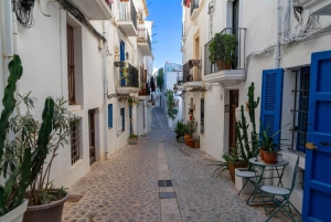Ibiza: Escursione a terra definitiva con prelievo dal porto