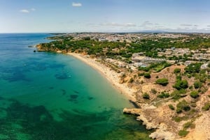 Ibiza: Escursione a terra definitiva con prelievo dal porto