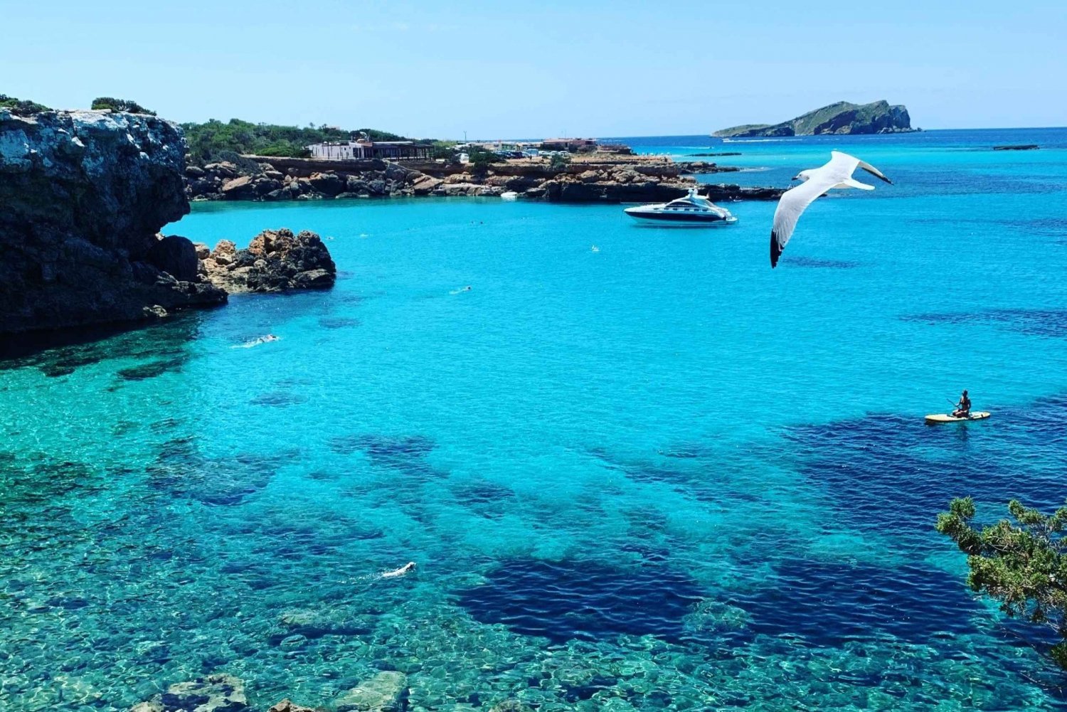 Ibiza: Passeio de barco pela costa oeste com bebidas