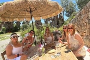 Visite œnologique à Ibiza : dégustation de vins + tapas dans un domaine viticole