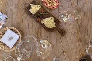 Visite œnologique à Ibiza : dégustation de vins + tapas dans un domaine viticole